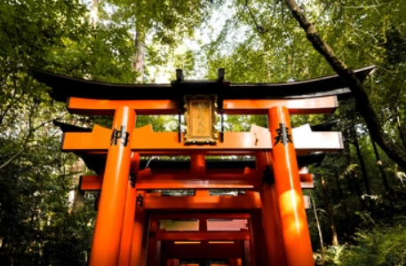 Sake Ceremonies and Traditions You Should Know