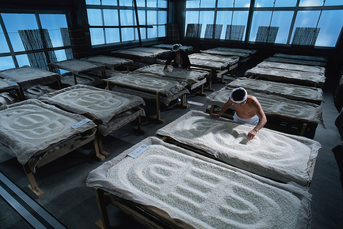 Shata Brewing Company