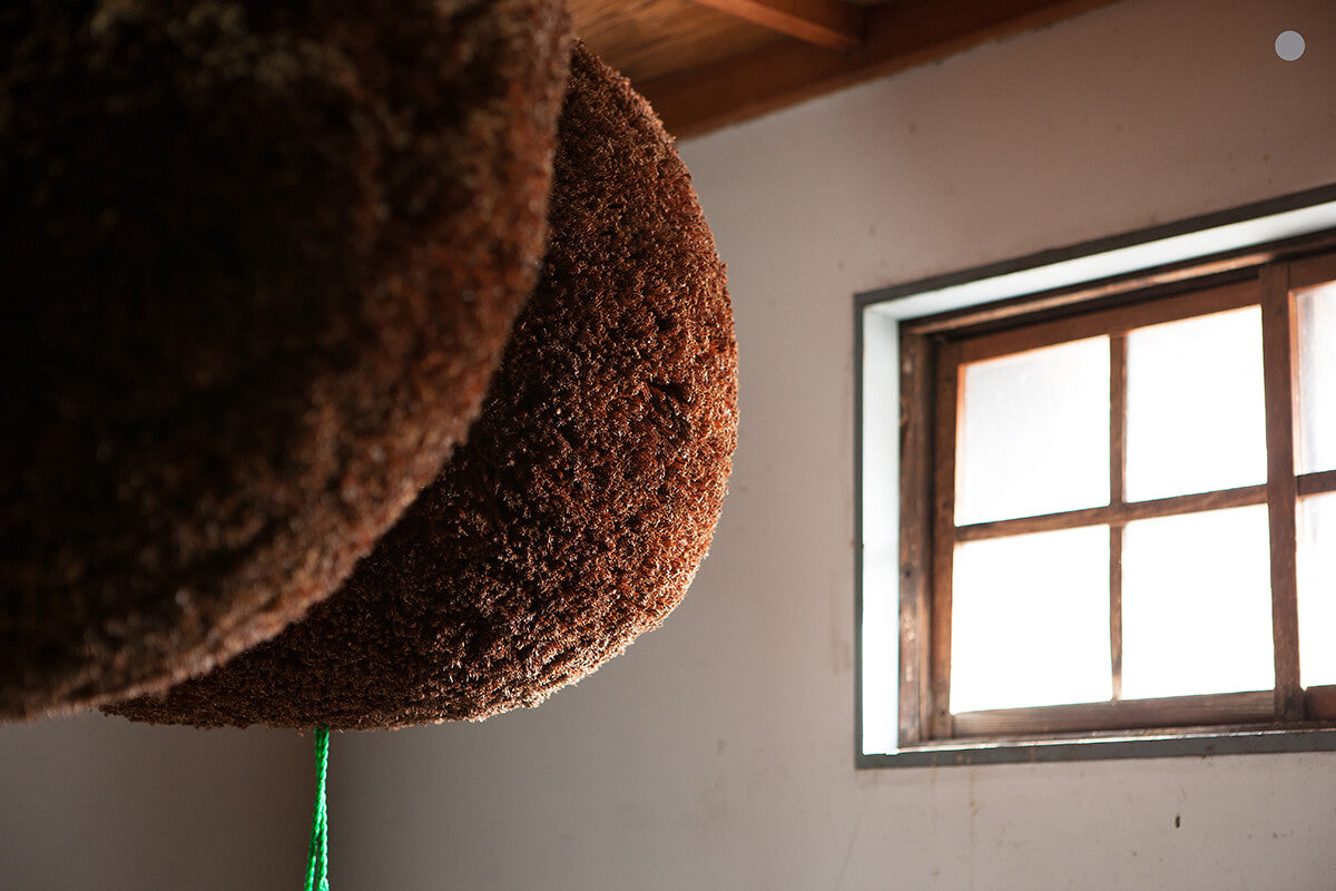 Yaegaki Brewing Company