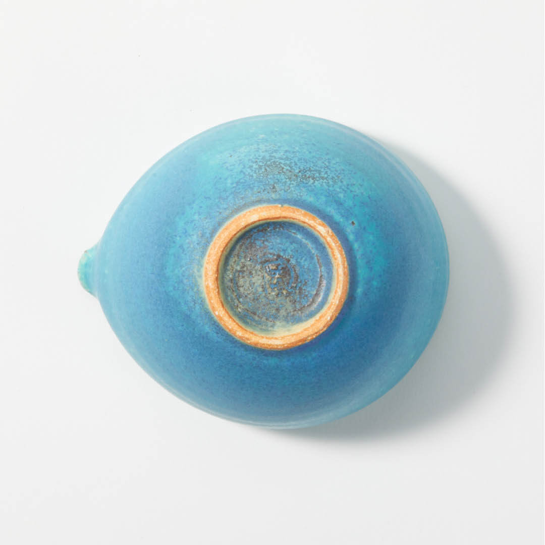 Aosaiyu Katakuchi, bottom view