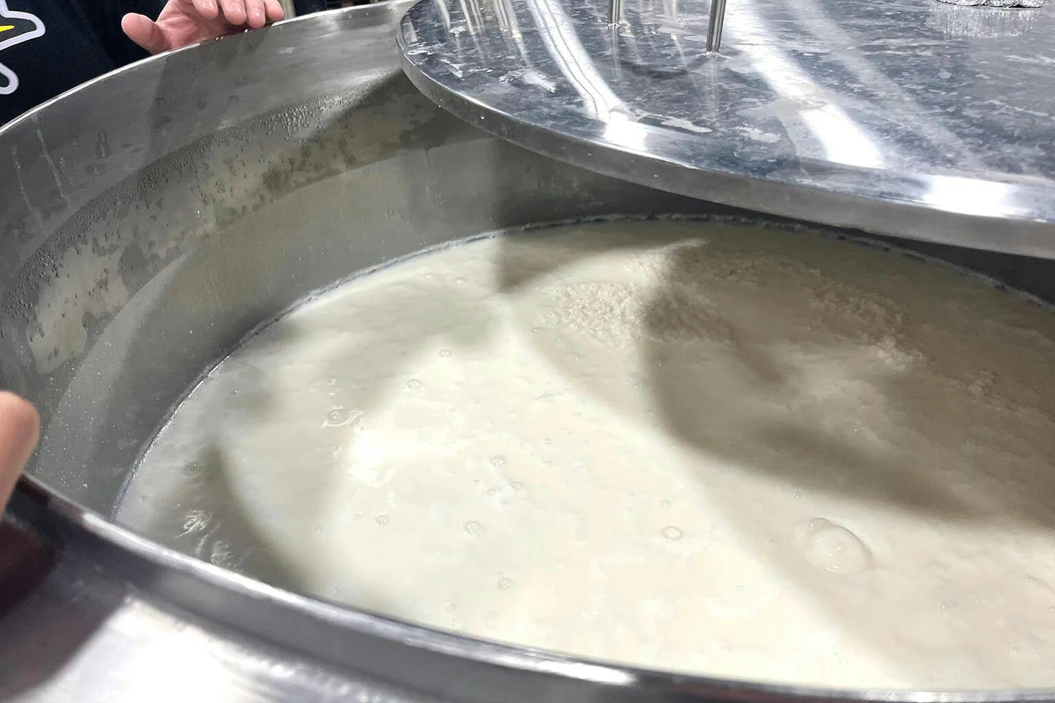 Sake mash for a small-batch kimoto sake bubbles as it ferments. It gives off the pleasant aroma of sweet rice milk. | Photo by Taylor Markarian.