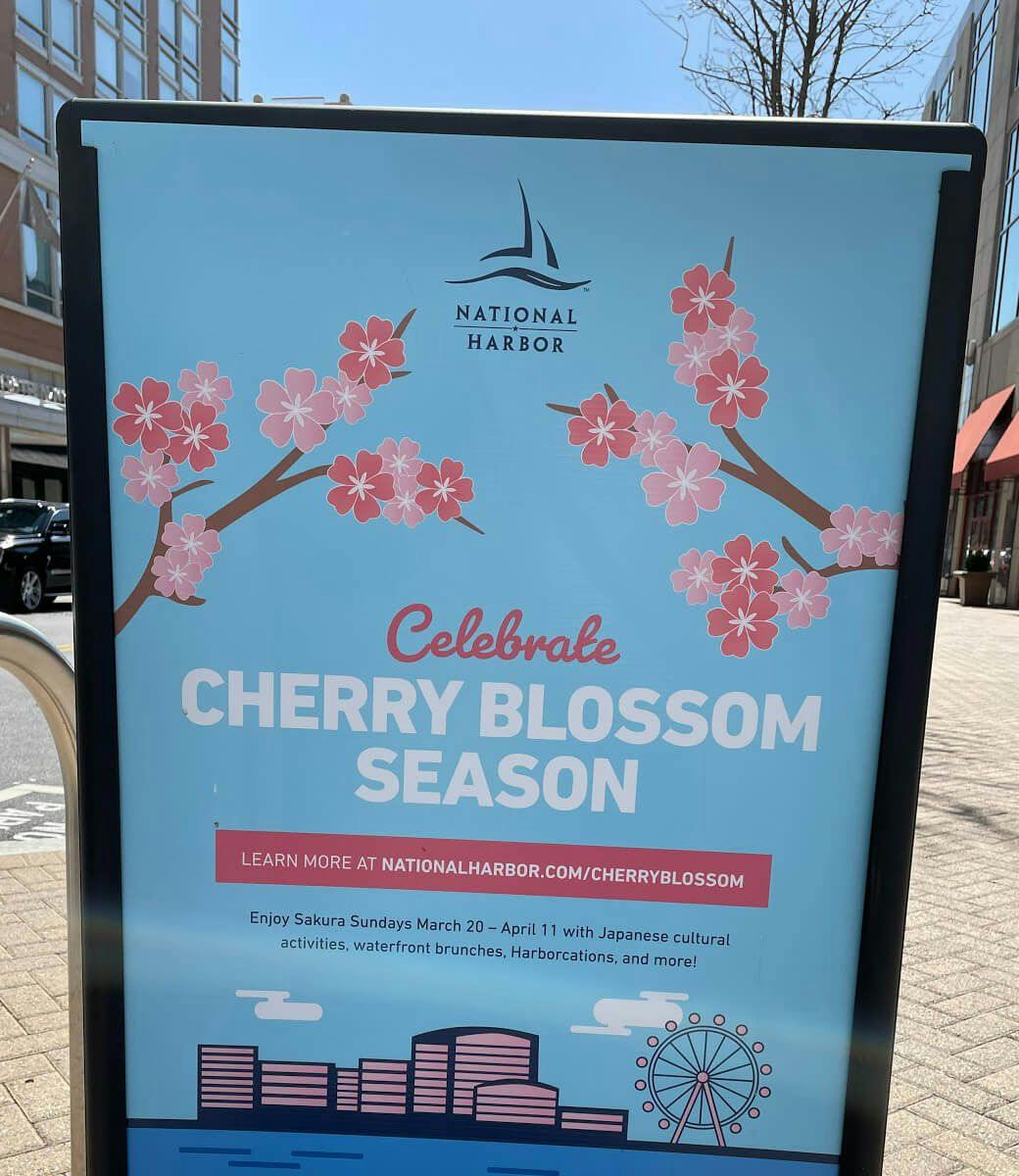 The sign of The Cherry Blossom Festival