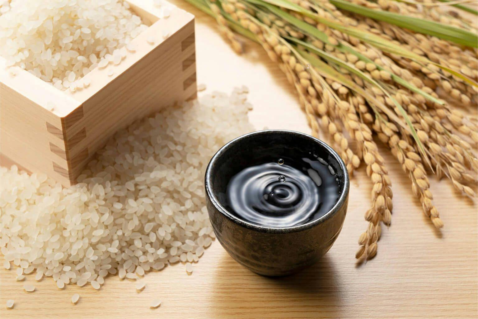 Kimoto: The Living History of Sake