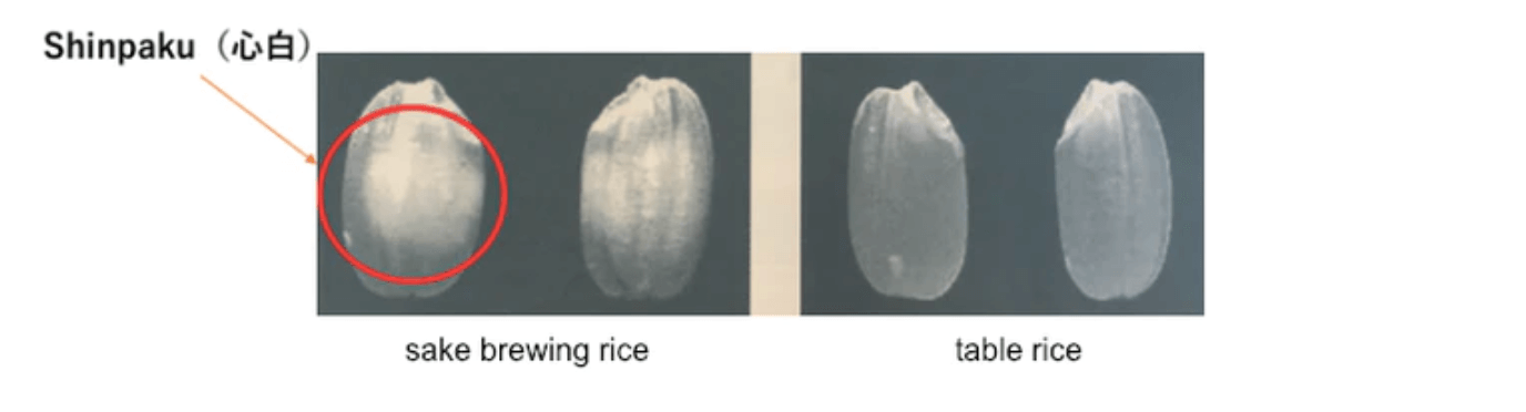 Difference between sake rice and table rice