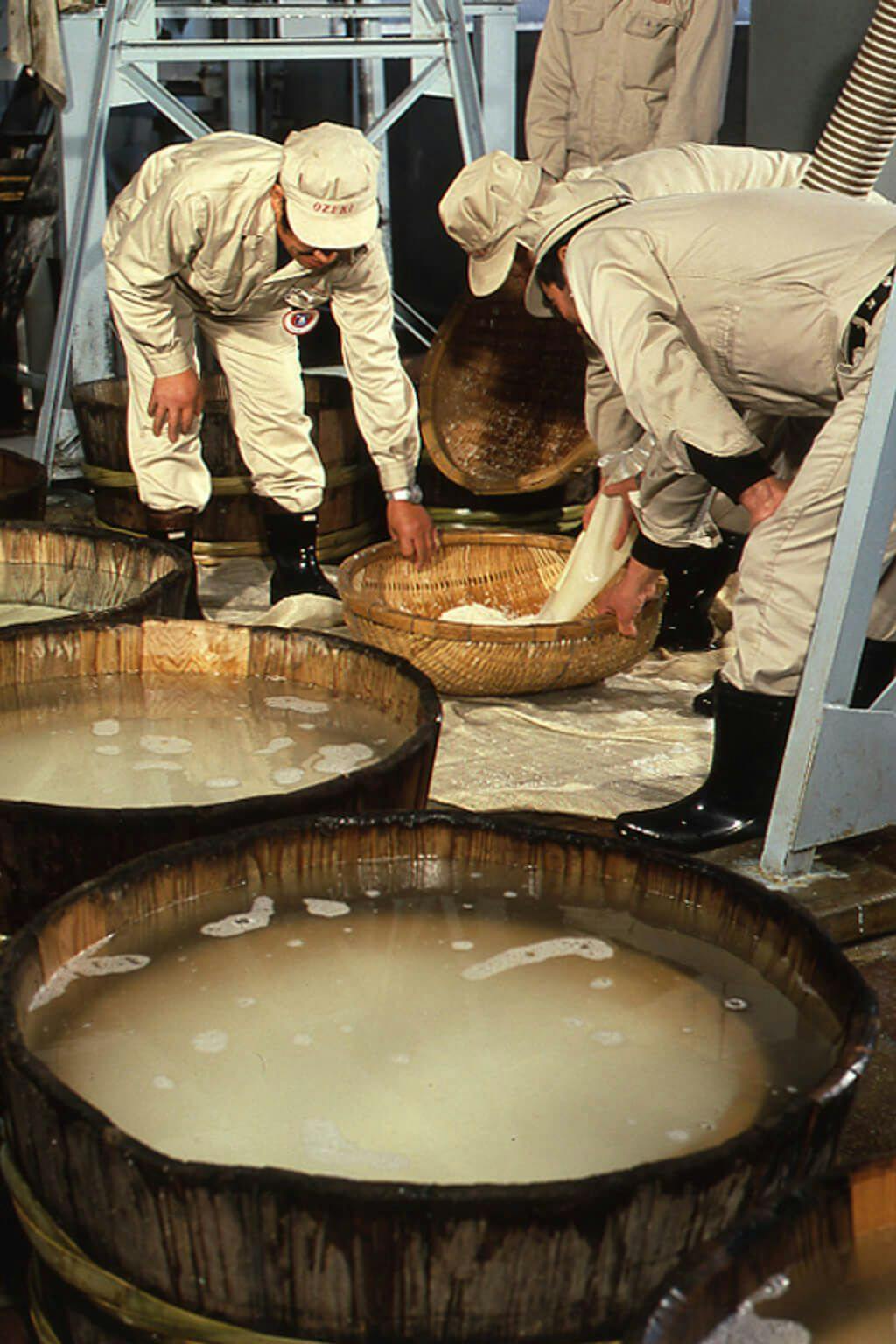 Brewery workers called “kurabito” prepare the rice for sake making.