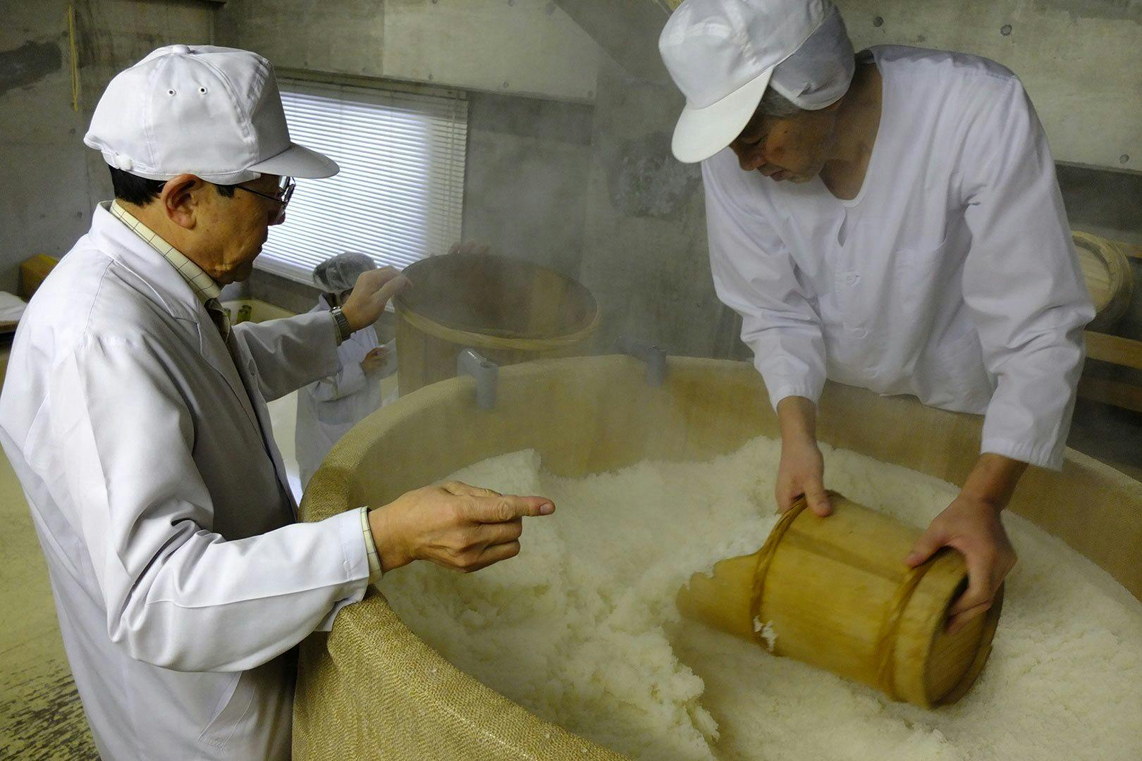 A toji (“brewing master”) examines the rice during the brewing process.