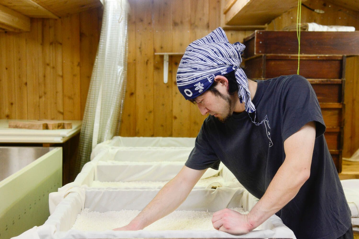 Sake making process of the Shichi Hon Yari brand