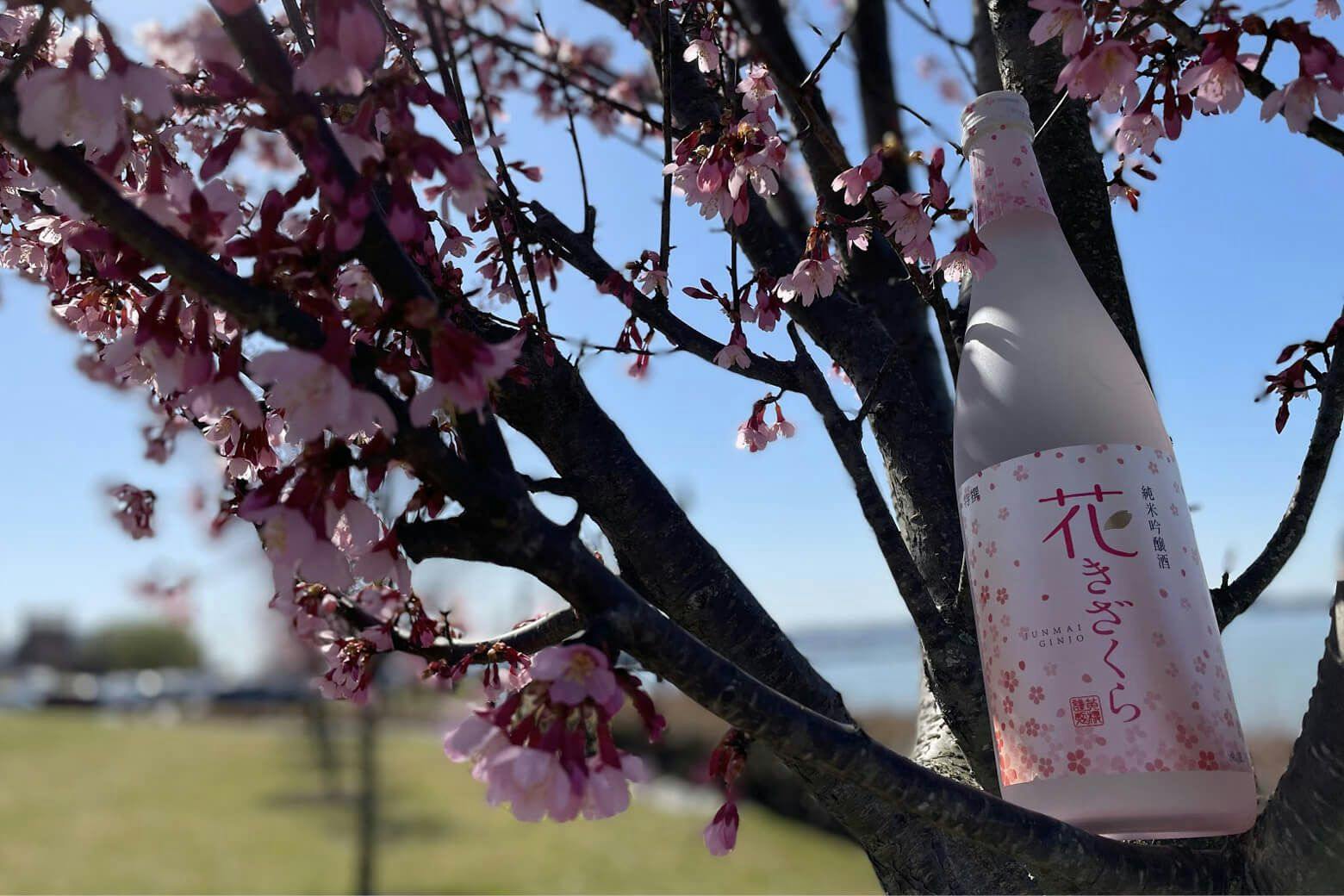 Kizakura “Hana Kizakura” sake bottle with cherry blossoms