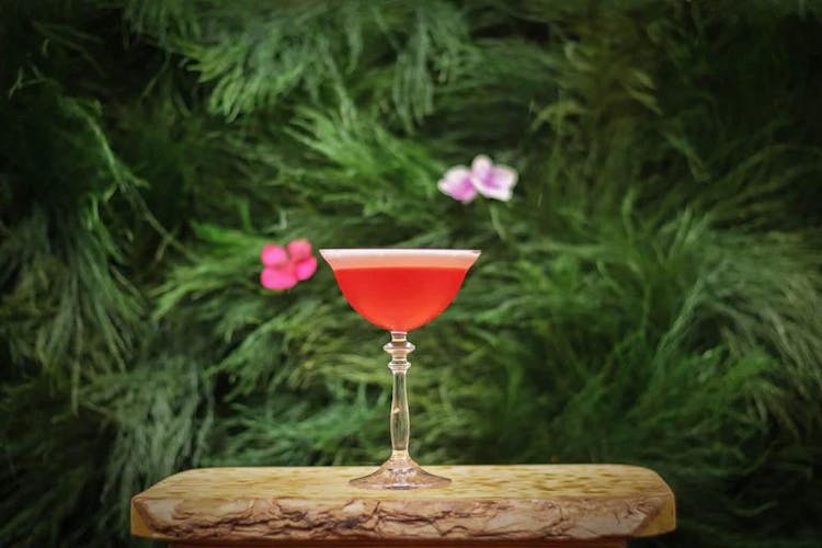A Complete Mixology Guide: 15 Sake Cocktail Recipes