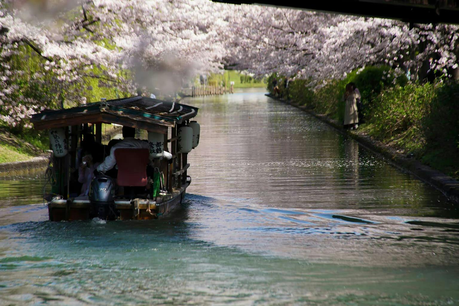 A small yakatabune glides through a river