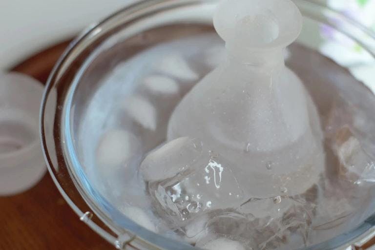 Sake preservation in ice bucket