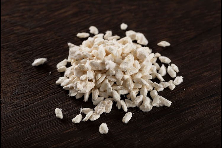 Everything You Need To Know About Koji Rice