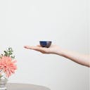 “Mino no Takumi” Black Sakazuki Cup With Blue Drip Glaze and Gold Interior, on a hand