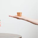“Omoeraku” Nikko Cedar Sakazuki Cup, on a hand