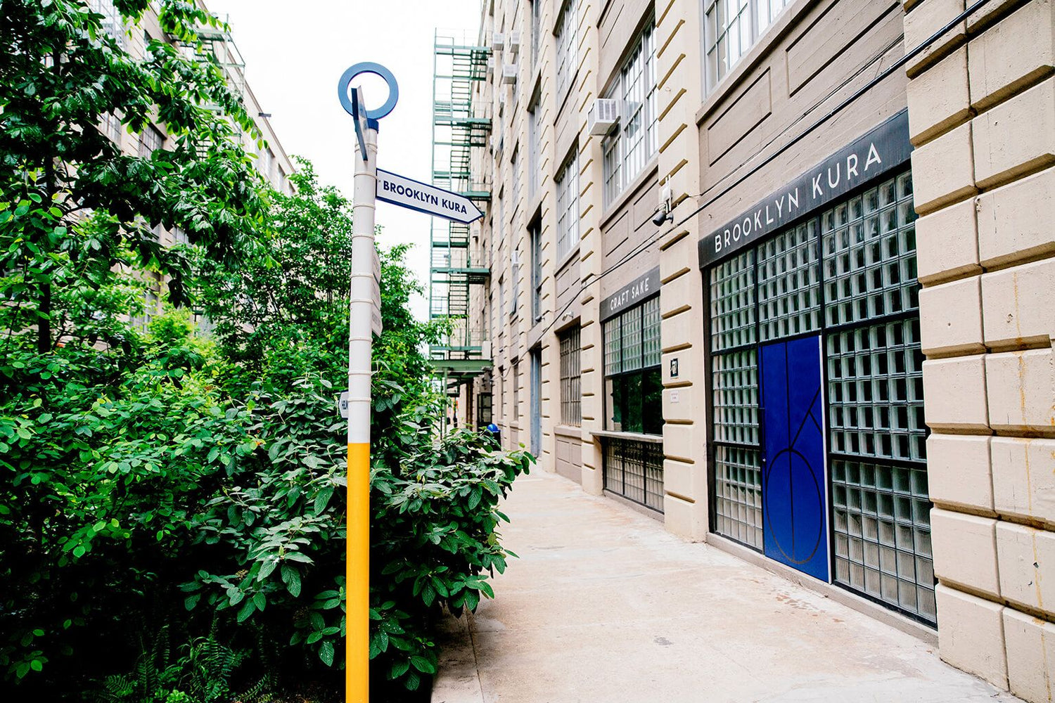 Brooklyn Kura: History, Bottles, Where To Buy