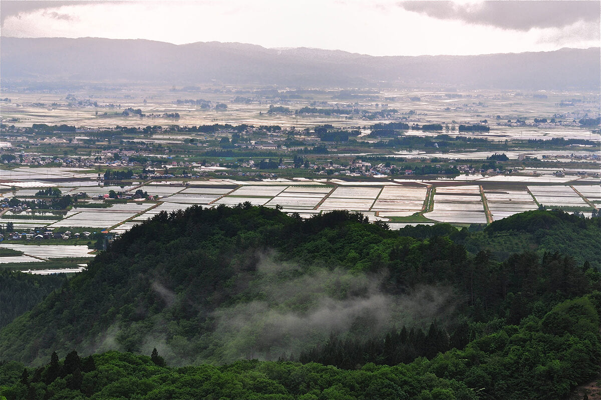 Asamai Brewing Company