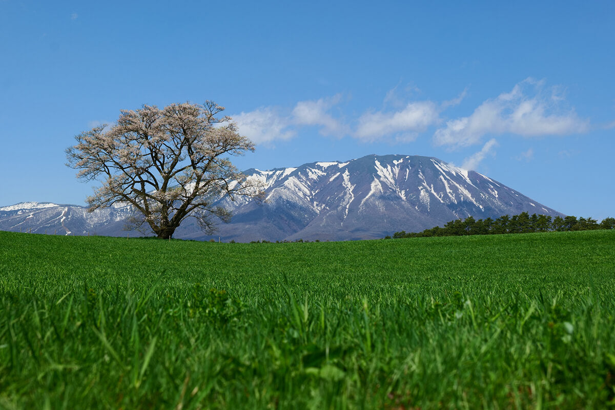 Iwate Prefecture
