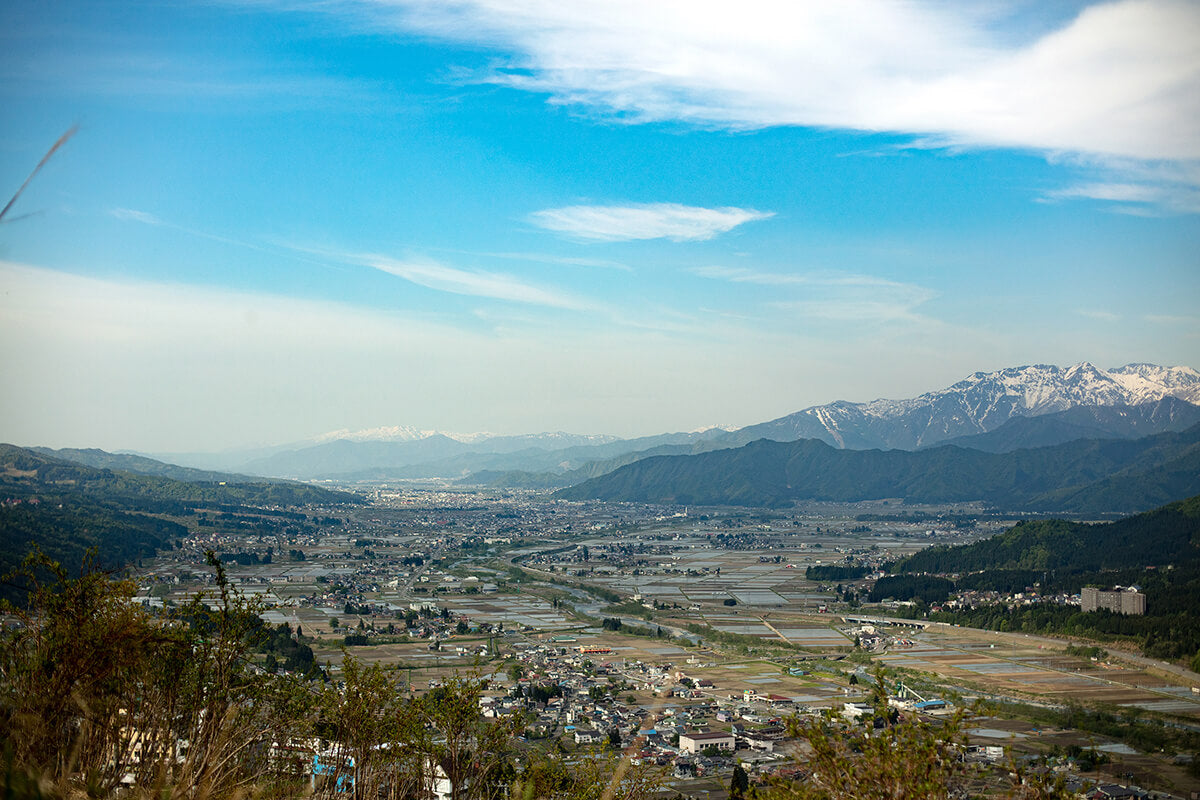 Shirataki Brewing Company