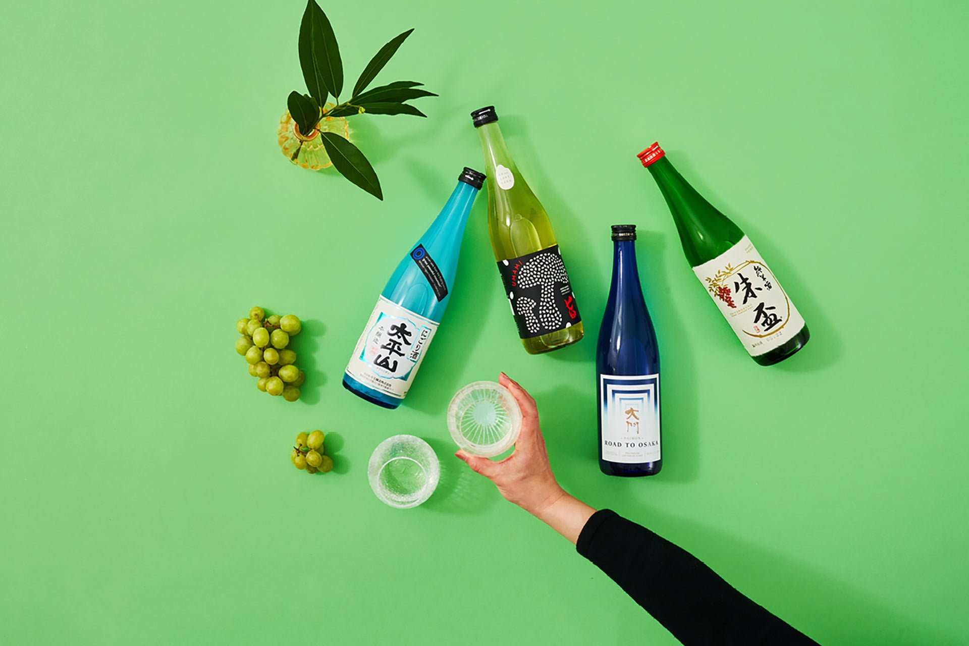 Kikumasamune “Taru”